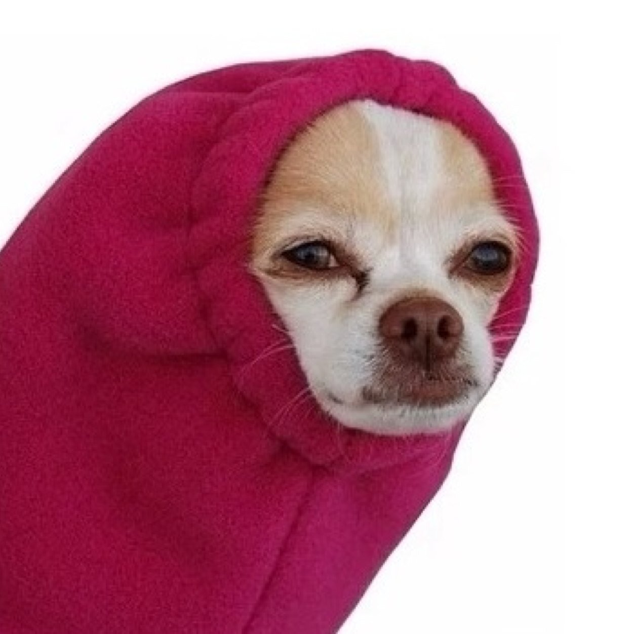 Sleeve Dog