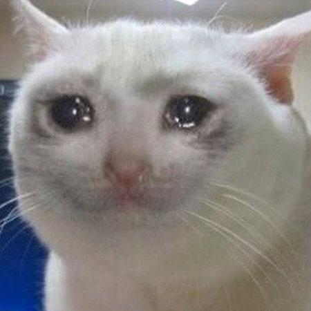Crying Cat